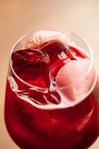 Ice-O-Matic UCG Gourmet ice machine
